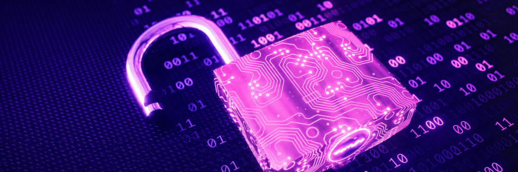 Gestão de vulnerabilidades 1